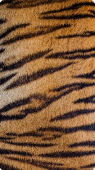 Tiger Print Aesthetic, Tiger Print Wallpaper, Animal Print Aesthetic, Safari Resort, Animal Texture, Hulk Art, Tiger Skin, Animal Print Wallpaper, Nail Room