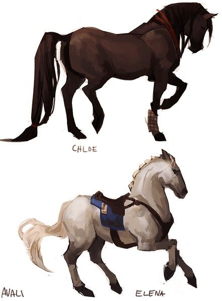 . Horse Fanart, Horse Calendar, Craft Clothes, Uncharted Series, Horse Art Drawing, Horse Sketch, Odd Things, Horse Drawing, Horse Drawings