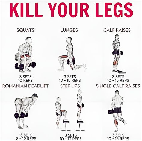 Quick Leg Workout, Dumbbell Leg Workout, Leg Workouts Gym, Workout Gym Routine, Leg Workout Routine, Workout Program Gym, Workouts Gym, Gym Workout Planner, Dumbell Workout