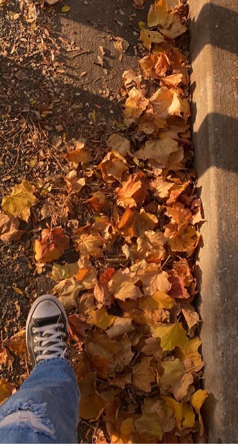 Leaves On The Ground, Fall Pictures, Fall Aesthetic, On The Ground, The Fall, Halloween