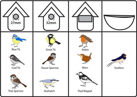 Nest Box Week 2019 | Brinvale Bird Foods Diy Nesting Boxes, Bird Houses Ideas, Nesting Boxes Diy, Bird Hotel, Bird Feeder Stands, Bird House Plans Free, Bird Nesting Box, Backyard Birds Feeders, Wood Bird Feeder