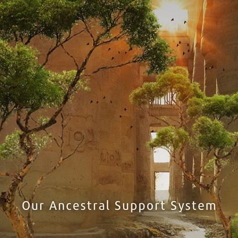 #reiki #reikirays #energy #vibrations #freshvibes #goodvibes #healing #reikihealing #ancestors Reiki Healer Aesthetic, Ancestor Meditation, Earth Guardian, Healing Ancestral Karma, History Of Reiki, The Healer Also Needs Healing, Japanese Tree, Love And Peace, Spirit World