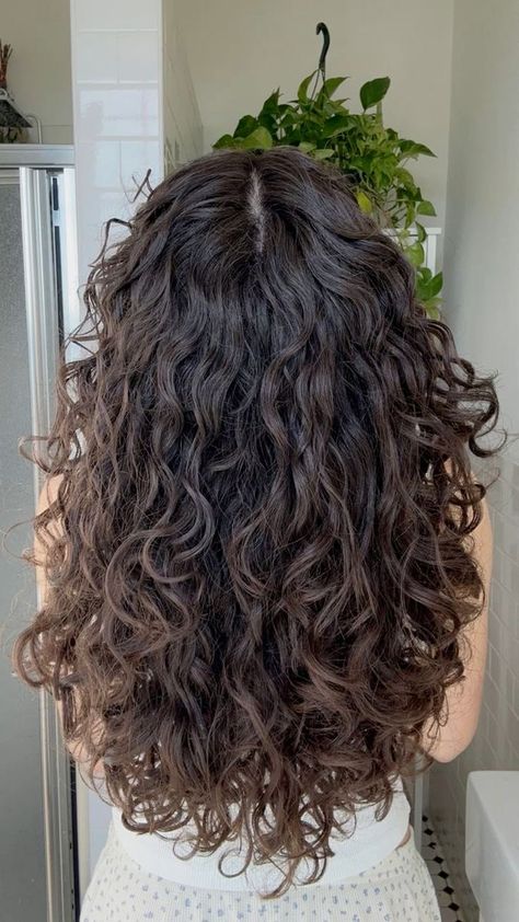 2c 3a Curly Haircut, U Shaped Curly Haircut, Haircut 2b Hair, Haircut For 2b Hair, 2b Wavy Hair Haircuts, 2b Haircut Medium, Wavy Hair Color Ideas, Curly Butterfly Haircut, 2b Curls