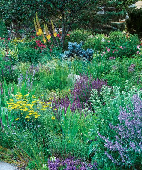 Water Wise Garden, Matrix Gardening, Water Wise Front Yard, Socal Garden, Drought Garden, Awesome Gardens, French Cottage Garden, Flower Combinations, Native Plant Landscape