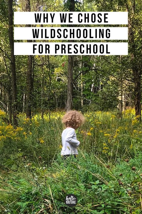 A look at why wildschooling activities work best for our preschooler and how we plan to learn going forward. Plus a quick glance at what made us choose nature-based learning (what didn't work out for us as we started preschool.) #Wildschool #NatureBasedLearning #NatureLearning #WildschoolPreschool Nature Preschool Curriculum, Homeschool Structure, Micro School, Wild Schooling, Nature Based Classroom, Nature Based Preschool, Project Based Learning Elementary, Nature Based Learning, Preschool Workbooks