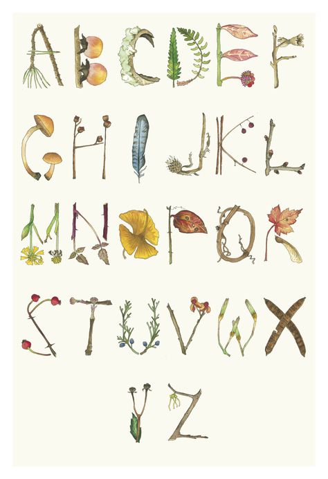 Laura Poulette Fall Alphabet, Alphabet Watercolor, Decorative Typography, Alphabet Prints, Watercolor Alphabet, Alphabet Drawing, Abc Print, Alphabet Images, Fancy Letters