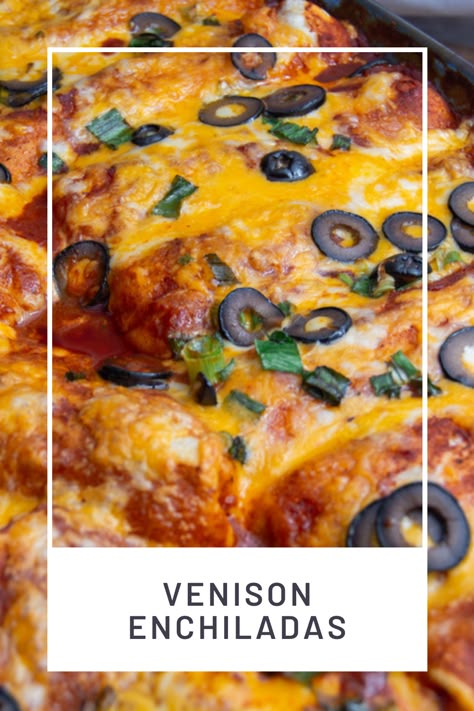 Like enchiladas? Like Mexican food? Love wild game? Sure you do! Get our latest recipe - Venison Enchiladas! . . . @missionfoodsus . . . #enchiladas #mexicanfood #food #foodporn #foodie #dinner #burritos #tacotuesday #delicious #foodgasm #foodphotography #burrito #wildgame #wildfoodcook #eatwild #venison #venisonrecipes #wildgamerecipes #venisonenchiladas #recipe #enchiladarecipe #venisonrecipe Deer Meat Enchiladas, Venison Mexican Recipes, Venison Enchilada Recipe, Ground Venison Recipes Casseroles, Venison Enchiladas Ground, Deer Enchiladas, Elk Enchiladas, Venison Burritos, Venison Ground Meat Recipes