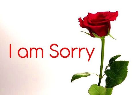 I'm sorry dp Sorry Dp, Sorry Wallpaper, Sorry Photo, Sorry Images, Love Images With Name, Kissing Quotes, I Am Sorry, Photo Download, I'm Sorry