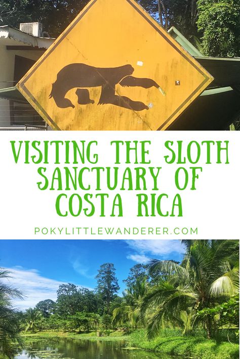 Visiting the Sloth Sanctuary of Costa Rica - One of the highlights of our last minute trip to Costa Rica was visiting the Sloth Sanctuary of Costa Rica and part of why we visited the southeastern part of the country! #PokyLittleWanderer #CostaRica #SlothSanctuary #CentralAmerica #CahuitaCostaRica #PuraVida #NorthAmerica Trip To Costa Rica, Tropical Fish Tanks, Costa Rica Vacation, Central America Travel, Monteverde, Costa Rica Travel, Caribbean Travel, Central American, American Travel