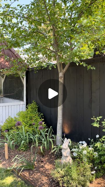 Robbie || Gardening on Instagram: "One of the biggest questions we had asked about is our black fence! I have been loving it and obsessed with it ever since we did it. We used the @behrpaint house and fence wood stain in the color slate. It does radiate a little bit of heat, but honestly, I’ve seen my plants explode with massive growth near the fence. I think that they like the extra heat. it was super easy to paint. We did use a paint sprayer which is the method that I would recommend. We had tried using a roller to take forever! Spend $100 and buy a paint sprayer off of Amazon. Trust me! We bought the Home Right paint sprayer and it’s amazing. Would you do this?   #blackfence #garden #paintedfence #zone9" Painting Wood Fence, Black Fence Garden, Painted Backyard Fence, Black Stained Fence, Wood Fence Painting Ideas, Black Fence Paint, Black Garden Fence, Garden Fence Paint, Fence Paint Colours