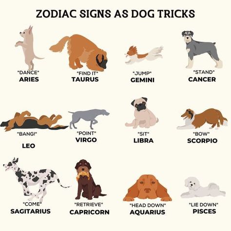 Dog Zodiac, Advanced Woodworking Plans, Dog Fails, Dog Tricks, Helpful Things, Dog Training Advice, Basic Needs, Train Your Dog, Dog Hacks