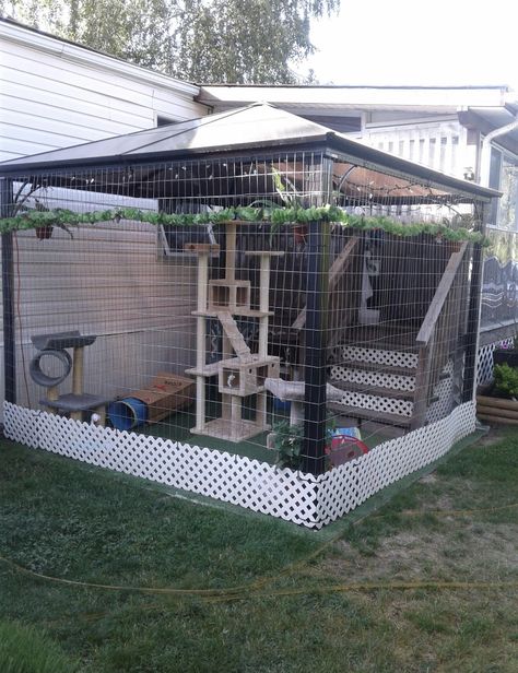 Cat House Design, Cat House Outdoor, Diy Cat Enclosure, Katt Diy, Ideas For Cats, Kat Diy, Cat Patio, Cat Tree House, Outdoor Cat Enclosure