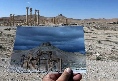 Syria Before And After, Palmyra Syria, Corinthian Column, Empire Romain, Baghdad, Before And After Pictures, Ancient Cities, Syria, Heritage Site