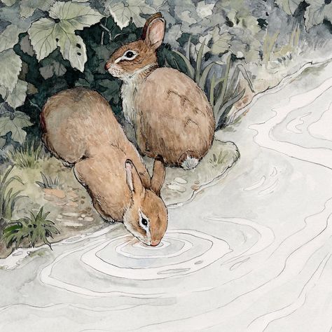 Ewa Mąka (@ewamaka.art) • Instagram photos and videos Animal Illustration Art, Storybook Art, Rabbit Art, Bunny Art, Whimsical Art, Animal Illustration, Pretty Art, Animal Paintings, Vintage Illustration