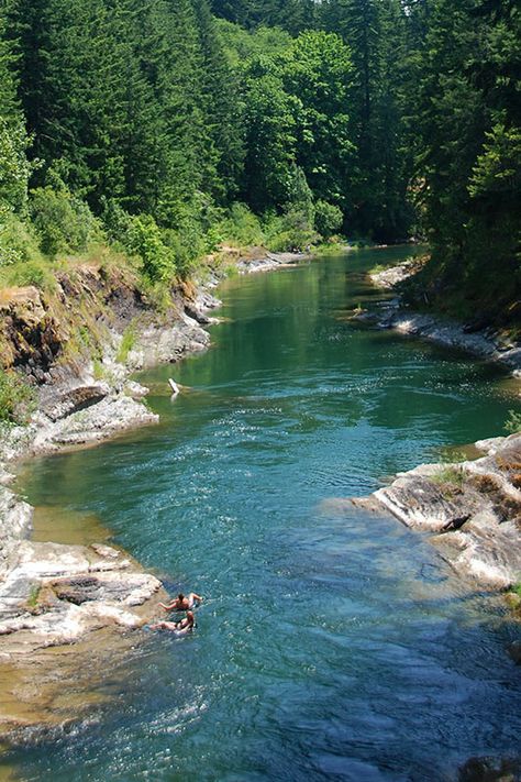 숲 사진, River Park, Places In The World, British Columbia Canada, Most Beautiful Cities, Beautiful Places In The World, Alam Yang Indah, Vancouver Island, Canada Travel