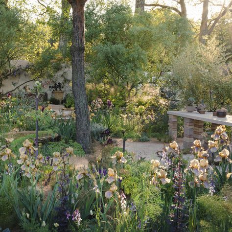 They used to throw whole gardens into skips, but the RHS has made this year’s Chelsea Flower Show the greenest one yet  — Gardens Illustrated Rhs Chelsea Flower Show 2024, Chelsea Flower Show 2024, Chelsea Flower Show Gardens, Gardens Illustrated, Coastal Garden, Chelsea Garden, Coastal Gardens, Garden Show, Chelsea Flower