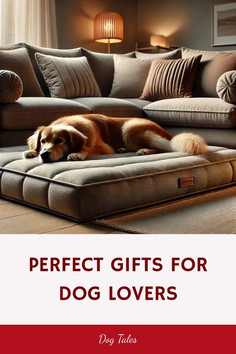 Dog resting on a plush bed in a stylish living room, promoting gifts for dog lovers. Bowls Aesthetic, Aesthetic Puppy, Dog Emotions, Dog Dna Test, Dog Themed Gifts, Dog Gift Ideas, Living With Dogs, The Best Aesthetic, Dog Birthday Gift