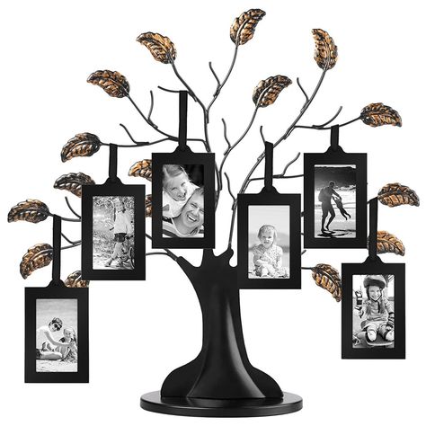 A Cool Photo Display: Philip Whitney Metal Family Tree Picture Frame Family Tree Picture Frames, Family Tree With Pictures, Family Tree Frame, Tree Frame, Picture Tree, Hanging Picture Frames, Picture Frame Sets, Black Picture Frames, Metal Tree