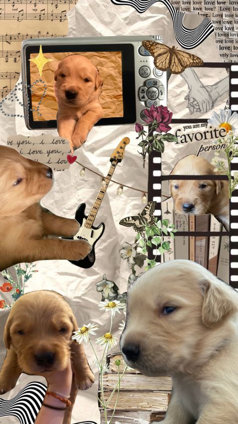 #puppies Fabric Store Design, Unusual Animal Friendships, Puppy Wallpaper, Animals Friendship, Unusual Animals, Preppy Wallpaper, Dog Wallpaper, Wallpaper For Your Phone, Fabric Store