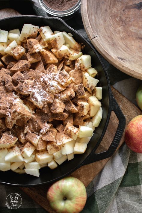 Cast Iron Skillet Thanksgiving Recipes, Cast Iron Apple Recipes, Fall Skillet Desserts, Cast Iron Apple Pie Recipe, Cast Iron Apple Crisp Recipe, Cast Iron Skillet Recipes Dessert, Apple Crisp In Cast Iron Skillet, Apple Cast Iron Dessert, Apple Crisp In A Cast Iron Skillet