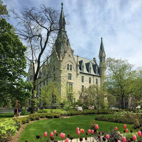 Northwestern University Campus, Northwestern University Aesthetic, Northwestern Aesthetic, Northwestern University Chicago, Romanticize Studying, University Apartment, College Core, University Hall, Evanston Illinois