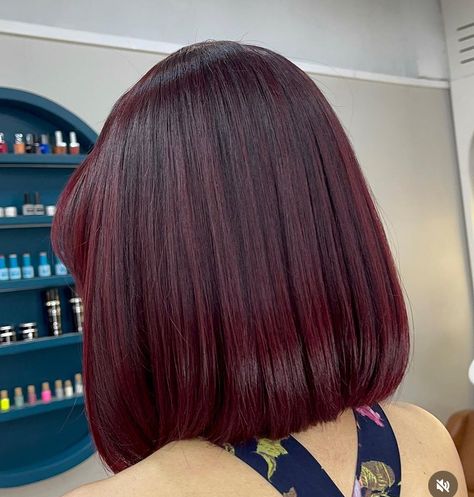 Dark Red Bob Hair, Cherry Red Bob Hair, Dark Cherry Red Hair Short, Cherry Cola Bob Short Hair, Blackberry Hair Color Dark Short, Dark Red Hair Bob Haircut, Short Copper Hair, Balayage Hair Grey, Prom Planning