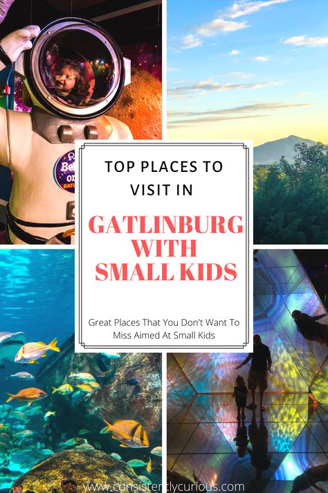 Things To Do in Gatlinburg with Small Kids Tennessee Family Vacation, Things To Do In Gatlinburg, Traveling With Toddlers, Smokey Mountains Vacation, Gatlinburg Vacation, Tennessee Travel, City Farm, Tennessee Vacation, Gatlinburg Tennessee