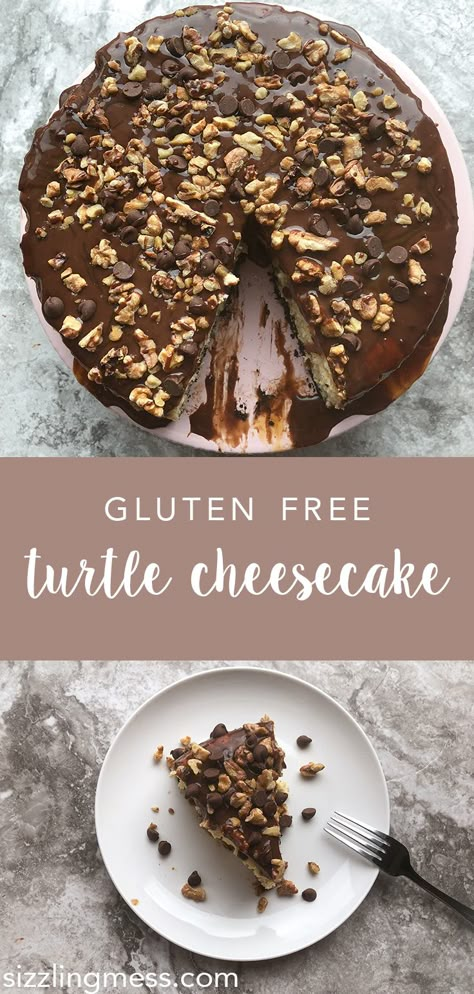 Gluten Free Turtle Cheesecake | Sizzling Mess Gluten Free Turtle Cookies, Gluten Free Turtle Cheesecake, Gluten Free Chocolate Cheesecake Recipe, Gluten Free Cheesecake Recipe, Gluten Free Cheesecake Recipes, Turtle Cheesecake Recipes, Salted Caramel Chocolate Cake, Cheesecake Caramel, Flourless Desserts