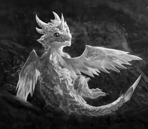 Grey-scale baby Ice Dragon Grey Dragon Art, Silver Dragon Art, Grey Dragon, Baby Dragon Art, Beware Of The Villainess, Queen Of Dragons, Grey Scale, Ice Dragon, Beautiful Dragon