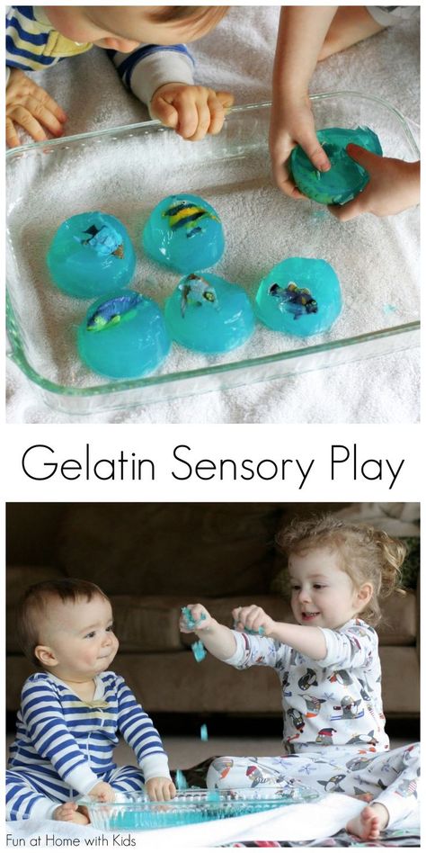 All ages gelatin sensory play! Great activity for young siblings to play together. From Fun at Home with Kids Blue Activities, Animals Activities, Home With Kids, Toddler Sensory, Play Together, Kids Sensory, Messy Play, Toddler Play, Toddler Fun