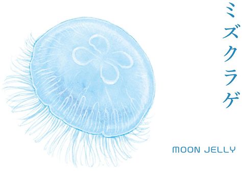 Jellyfish Miraculous, Japanese Jellyfish, Rainy Skies, Rainy Sky, Underwater Sea, Iphone Layout, Japan Art, Jellyfish, Ocean View