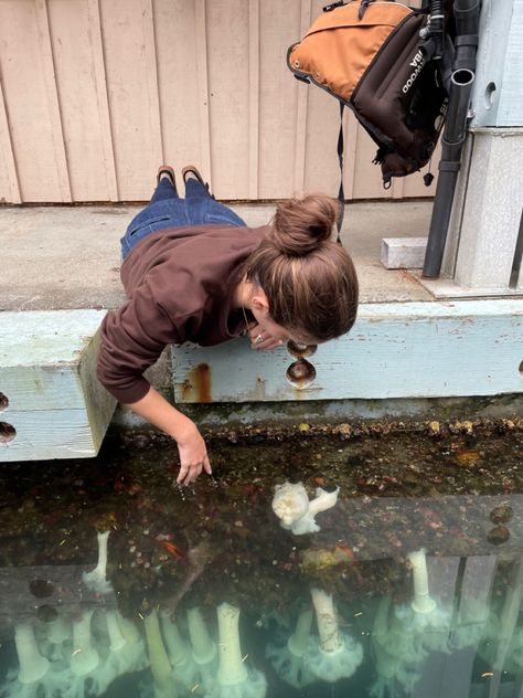 Elementary Science Teacher Aesthetic, Animal Scientist Aesthetic, Marine Scientist Aesthetic, Marine Biology Career, Marine Biologist Outfit, Biology Lab Aesthetic, Environmentalist Aesthetic, Conservation Aesthetic, Environmental Science Aesthetic