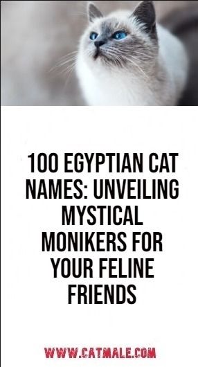 100 Egyptian Cat Names: Unveiling Mystical Monikers for Your Feline Friends Disney Cat Names, History Of Egypt, Unique Cat Names, Beloved Movie, Disney Cats, Egyptian Cat, Female Male, Unique Cats, Cat Names