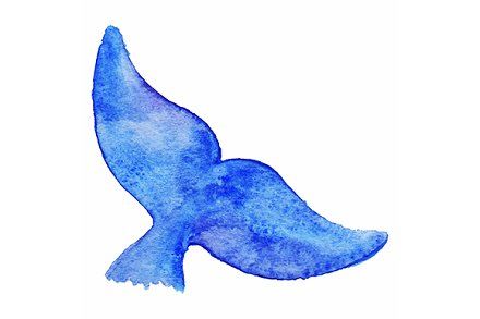 Watercolor blue whale tail animal underwater isolated vector --- **Keywords:** art, watercolor, vector, whale, tail, animal, fish, wild, wildlife, environment, nature, natural, fauna, water, sea, marine, mammal, ocean, underwater, fin, swim, isolate, spot, isolated, single, symbol, one, object, element, clip, violet, blue, white, texture, abstract, graphic, decoration, colorful, illustration, design, artistic, drawing, hand, drawn, creative, sketch, artwork, paint, watercolour, aquarelle Watercolor Vector, Fish Symbol, Animal Vector, Ocean Underwater, Landscape Stone, Watercolor Whale, Whale Art, Watercolor Blue, Whale Tail