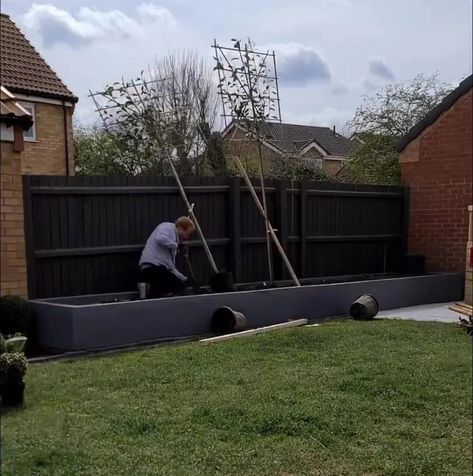 Dark Green Fence Garden, Allotment Fencing Ideas, Allotment Fence Ideas, Living Fence Fast Growing, Raised Garden Beds Along Fence, Raised Bed Privacy Screen, Red Robin Tree, Diy Privacy Fence, Yard Diy