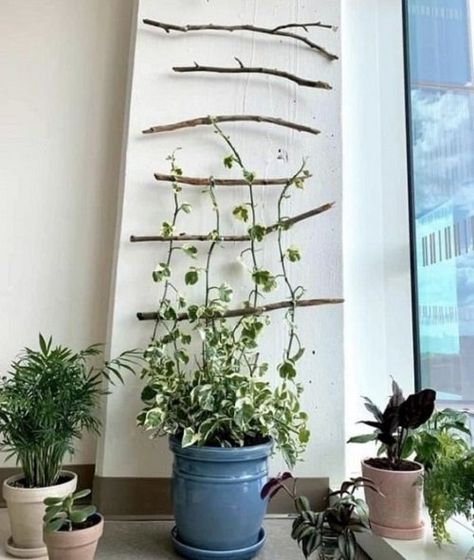 18 Fantastic Pothos Trellis Ideas You Can Easily Make Hang House Plants Ideas, Vine Plants Indoor Decor, Houseplant Trellis Ideas, Indoor Trellis Wall, Climbing Indoor Plants, Vine Plants Indoor Climbing, Vining Plants Indoor, Indoor Trellis Ideas, Diy Plant Trellis Indoor