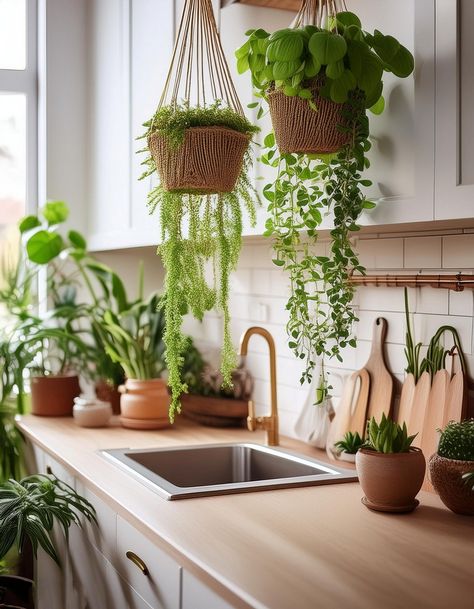 Hanging Plants Plants Above Kitchen Cabinets, Plant Decor Kitchen, Plants In Kitchen, Colorful Eclectic Kitchen, Bohemian Light Fixtures, Hanging Plant Decor, Office Bedroom Ideas, Style Plants, Boho Kitchen Ideas