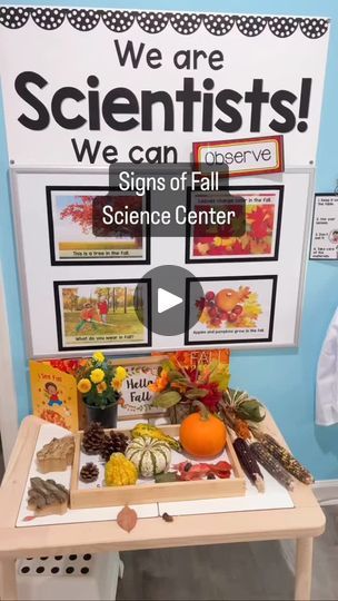 5.8K views · 550 reactions | Preschoolers learn so much by observing, touching, and handling real-life materials.  They need to use all of their senses to develop an understanding of each concept. That’s why we love this fall science center. 🍂  Students can pick up the fall objects. 🍁 They feel the weight, the texture, the size, and the shape. 🖐 They see the colors and the patterns. 👀 They compare similarities and differences. ⚖️ They notice small details, like the silk on the harvest corn and the lids on the acorns. 🌽🌰  At the science center, they practice new vocabulary and use it to describe the objects. Their brain synapses are connecting as they put all of the pieces of information together to form the concept: These are Signs of Fall! 🍁🍎🐿🕷🎃🍂  Would you like a link to thes Fall Science Center Preschool, Fall Objects, Fall Science Center, Preschool Seasons, Science Center Preschool, Pre K Science, Seasons Preschool, Pre-k Science, We Are Scientists