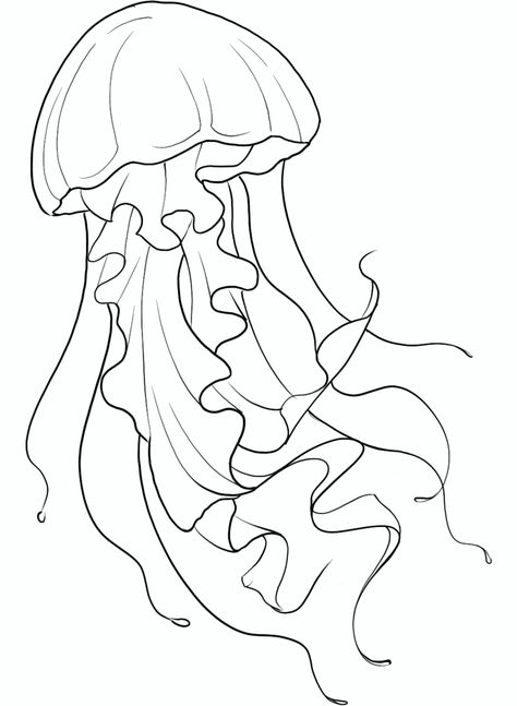 Jellyfish Outline Drawing, Jellyfish Outline Tattoo, Jelly Fish Drawing Ideas, Drawing Ideas Jellyfish, Jellyfish With Flowers, Jellyfish Drawing Easy, Easy Jellyfish Drawing, Jellyfish Line Art, Jellyfish Stencil