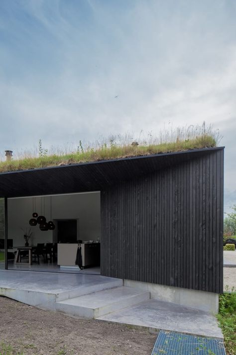 Francois Verhoeven Architects · villa SG21 · Divisare Grass Roof, Black Houses, House Cladding, Looking For Houses, Wood Architecture, Timber Cladding, Residential House, Green Roof, Villa Design