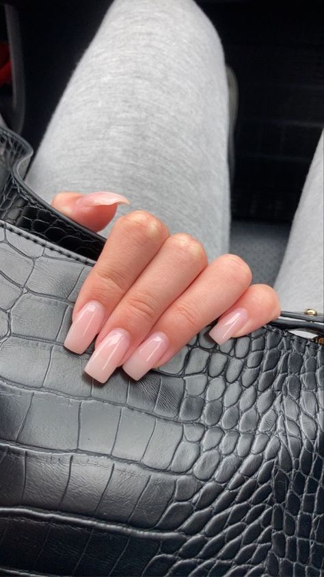 Clean Nails Look Square, Rounded Square Nails Long, Basic Acrylic Nails Square Medium, Light Pink Rectangle Nails, Long Square Oval Nails, Proposal Nails Square, Minimalist Nails Square Medium, Simple Square Nails Medium, Acrylic Nail Tapered Square