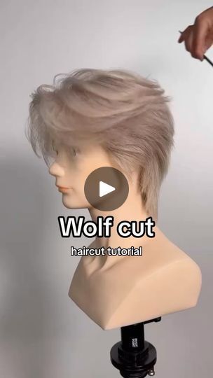 WOLF CUT haircut tutorial!
#hairtutorial #hair #hairstyles #hairstyle #haircolor #haircut #hairgoals #hairstylist #hairtransformation #hairfashion #hairvideos #hairvideo #hairideas | Arman Ali Wolf Cut Men Tutorial, Middle Part Wolf Cut Men, Boy Wolf Cut, Wolf Cut Boy, Wolf Cut Hair Men, Short Alternative Haircuts, Wolf Cut Haircut, Wolf Cut Tutorial, Mens Wolf Cut