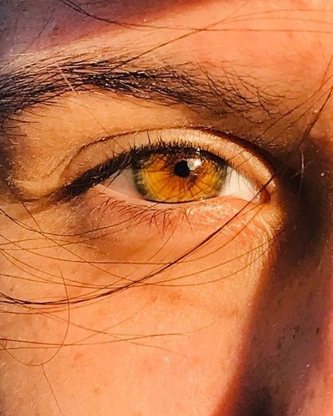 Amber Eyes Color, Hazel Brown Eyes, Eye Aesthetic, Honey Eyes, Brown Eyes Aesthetic, Beautiful Eyes Color, Leo Girl, Color Eyes, Charming Eyes