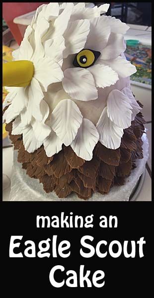 Making an Eagle Cake- fun tutorials here! Boy Scout Cake, Eagle Scout Cake, Eagle Scout, Specialty Cakes, Boy Scout, An Eagle, Occasion Cakes, Food Crafts, Cake Tutorial