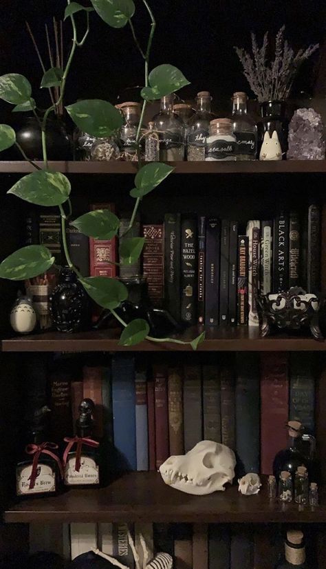 Today's aesthetic is witchy academia Witch Aesthetic Bedroom, Gothic Library, Aesthetic Bookshelf, Witchy Academia, Goth Houses, Witch Room, Dark Home Decor, Goth Home, Goth Home Decor