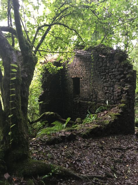 Tower In The Woods, Ruin Aesthetic, Manor Castle, Ruined Village, Garden Ruins, Forest Tree House, Overgrown Forest, Overgrown Ruins, Forest Ruins