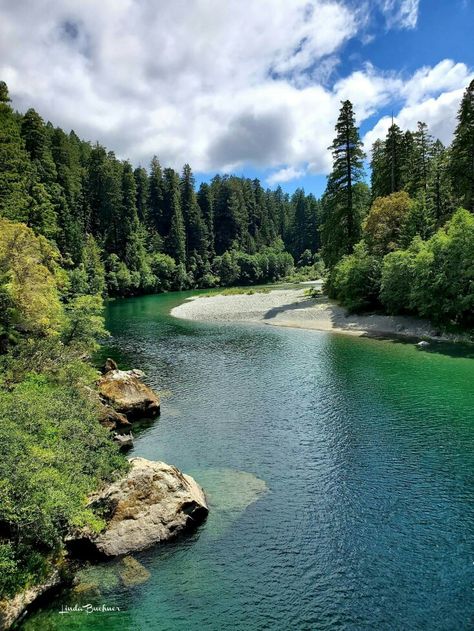 The Smith River from the Hiouchi Bridge 6-25-29, near Crescent City, CA. By Linda Buchner; vF Smith River California, Crescent City California, River Village, Vilamoura Portugal, Crescent City Ca, Oregon Road Trip, Mountain Pictures, Water Source, Beautiful Landscape Photography