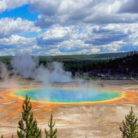 🇺🇸✨ Happy US Independence Day. ✨ Celebrate today with epic adventures in America's stunning national parks! Discover the stunning landscapes of Utah on our Moab National Parks Adventure, where dramatic desert landscapes, red rock formations and endless skies await. 🌄 Or explore the iconic beauty of Yellowstone and Grand Teton National Parks, home to geysers, hot springs, and incredible wildlife on our Yellowstone National Park Adventure. 🦬 🌄 Explore the itineraries. Link in Bio 🔗 #WildWomen... Hot Springs Yellowstone, Yellowstone Geysers, Road Trip Vibes, Walton Ford, Earth Fairy, Us Independence Day, Hot Springs National Park, Iconic Beauty, Desert Landscapes