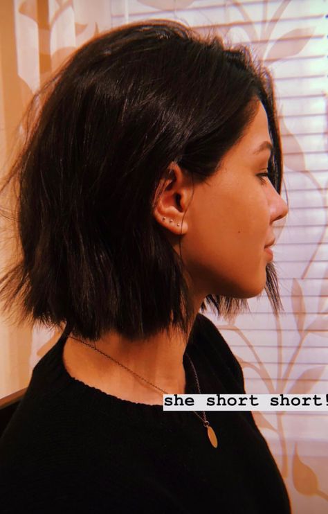 Above Shoulder Brunette Hair, Above The Neck Haircuts, Above Shoulder Brown Hair, Dark Brown Chin Length Hair, Shoulder Length Hair Short Neck, Shoulder Length Bob Blonde, Short Hair Above Shoulder Straight, Straight Above Shoulder Hair, Chin Length Dark Hair