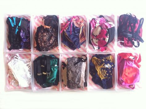 Lingerie Storage Ideas, Lingerie Organization, Lingerie Storage, Skirt Hangers, My First Apartment, How To Store, Store Organization, Master Closet, Functional Storage